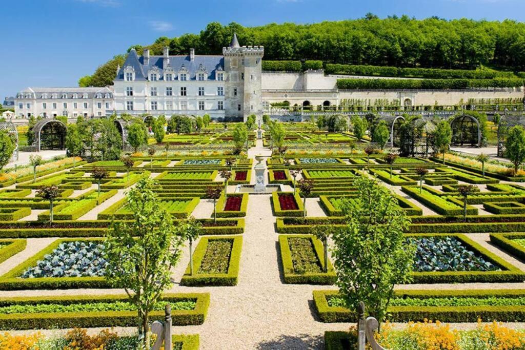 Amalouyse Studio De Charme Au Coeur Des Chateaux De Loire Montlouis-sur-Loire Eksteriør billede