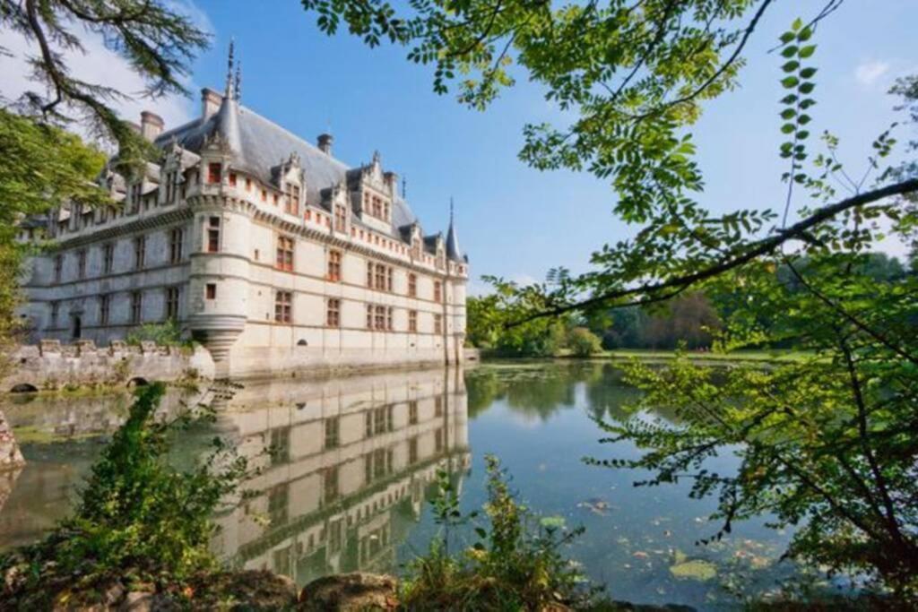 Amalouyse Studio De Charme Au Coeur Des Chateaux De Loire Montlouis-sur-Loire Eksteriør billede